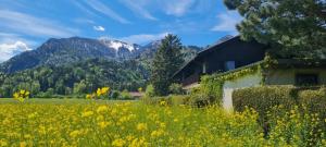 a house in a field of flowers with mountains in the background at Ferienwohnung 3 in Grassau