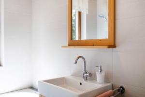a bathroom with a sink and a mirror at Silbernagl - Monolokal mit Ausblick in Issengo