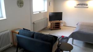 a living room with a couch and a television at Fewo Deister Bikertraum in Wennigser Mark +4 photos