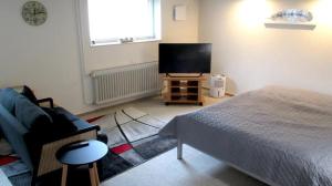 a bedroom with a bed and a flat screen tv at Fewo Deister Bikertraum in Wennigser Mark