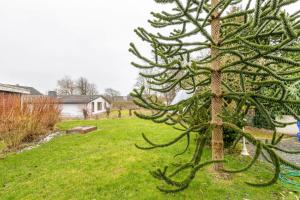 a pine tree in a yard next to a house at Ferienwohnung Backbord Deichhausen in Büsumer Deichhausen
