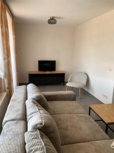 a living room with a couch and a television at Ferienwohnungen am Louisenteich in Frauendorf