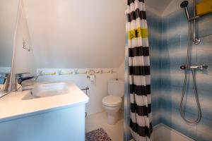 a bathroom with a sink and a toilet and a shower at Ty Clafout wifi parking in Saint-Nolff +15 photos