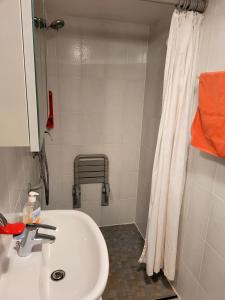 a bathroom with a sink and a shower at Ferienwohnung Brixius in Koblenz +5 photos