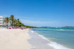 a sandy beach with palm trees and the ocean at Ca Na Rosa in Alcudia