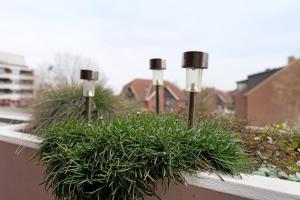 a row of potted plants on a balcony at Ostseeperle mit Schwimmbad in Dahme