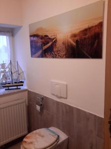 a bathroom with a toilet with a painting on the wall at Ferienwohnung Annett in Böhlen +16 photos