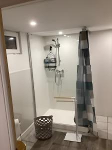 a bathroom with a shower stall and a sink at Appartement de charme Saint-Romain in Saint-Romain