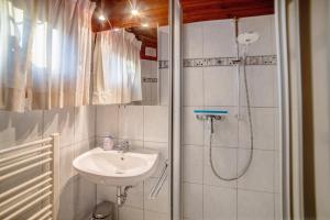 a bathroom with a sink and a shower at Chalet Bühberg Alm in Bad Lauterberg +14 photos