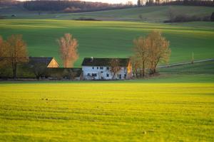 a white house in the middle of a green field at Chalet Bühberg Alm in Bad Lauterberg