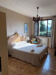 a bedroom with a large bed and a window at Agriturismo Debbione Maro' in Suvereto