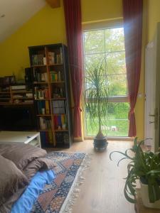 a bedroom with a bed and a book shelf and a window at Im schönen Garten in Haldensleben