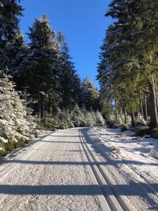 an empty road with trees and snow on it at Ferienwohnung Tannenblick 2-1 in Oberhof