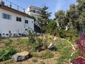 a garden with rocks and flowers in front of a building at Casa Roca in Arona