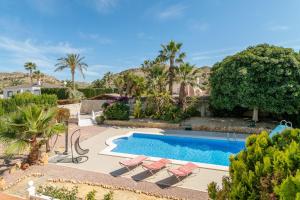 an image of a swimming pool with chairs and trees at Chalet Limonita in Mutxamel