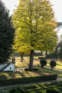 Zahrada ubytování Villa Olmi Firenze