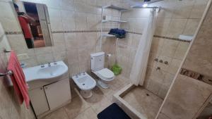 a bathroom with a toilet and a sink and a shower at Casa quincho en plottier in Plottier