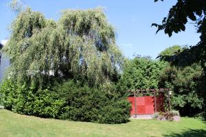 a large willow tree in a yard with a gate at Ferienwohnung Möhneblick in Möhnesee