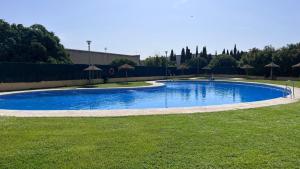 a large blue swimming pool in a grass field at Ágora Alhambra in Atarfe
