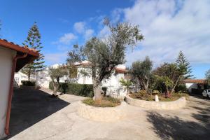 a house with a tree in a courtyard at Bungalow Sultanina in Otranto