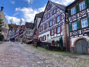 a person walking a dog down a cobblestone street at Ferienwohnung Das Nest in Schiltach