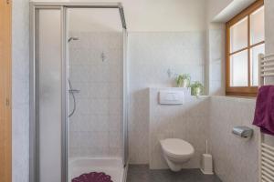 a bathroom with a shower and a toilet at Woehrmannhof Apt Spinnrad in Feldthurns +23 photos