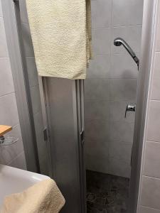 a bathroom with a shower with a towel on the door at App Sonne Nr 17 in Lutago
