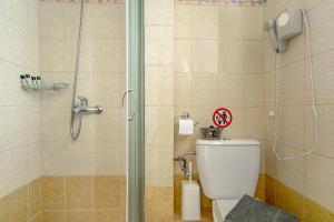 a bathroom with a shower and a white toilet at Efrosyni apartment in Kefallonia
