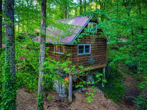 a log cabin in the middle of the woods at Fisherman in Helen