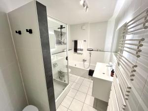a bathroom with a shower and a toilet and a sink at Ferienwohnung an der Aschaffaue in Aschaffenburg +13 photos