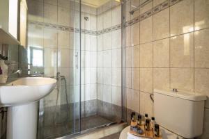 a bathroom with a shower and a toilet and a sink at Afroksilia Villa Triantafilo in Lefkada +15 photos