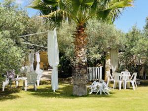 a palm tree with white chairs and umbrellas at Villa Maria Beatrice in Quartu SantʼElena