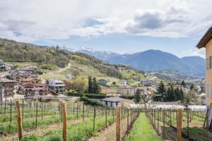 Ein Weinberg in einem Dorf mit Bergen im Hintergrund in der Unterkunft Wunderhorn in Civezzano