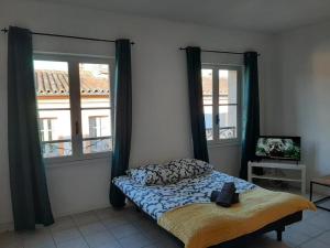 a bedroom with a bed and two windows at Le beau 25 République in Montauban