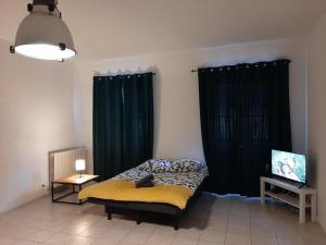 a bedroom with a bed and green curtains at Le beau 25 République in Montauban