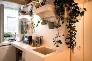 a kitchen with a sink and some plants on the wall at Suite Carlomaria in Ceglie in Ceglie Messapica