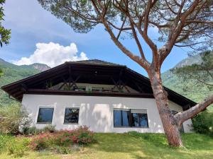 a white house with a tree in front of it at Villa Pinie Apt 1 in Terlano