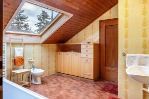 a bathroom with a toilet and a sink and a window at Villa Pinie Apt 1 in Terlano +35 photos