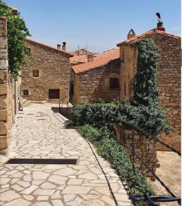 an alley with ivy growing on the side of a building at Antiga escola de Molinell in Culla