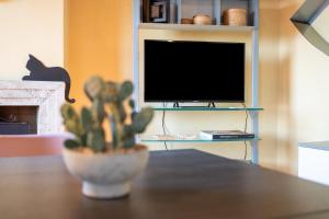 a plant sitting on a table in front of a tv at Small Rustic Apartment in Scrofiano