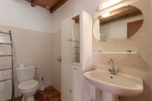 a bathroom with a toilet and a sink and a mirror at Maison Yaitua in Esterençuby