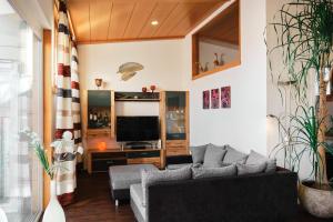 a living room with a couch and a tv at Ferienhaus am Millibach in Wehingen +15 photos