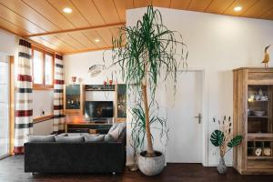 a living room with a couch and a potted plant at Ferienhaus am Millibach in Wehingen