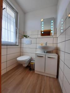a bathroom with a sink and a toilet and a mirror at Ferienhaus Emelie Geiseltalsee in Mücheln +7 photos