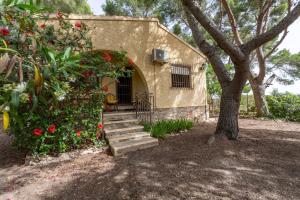 a small house with a tree and stairs leading to it at Las Pedrizas in Pilar de la Horadada