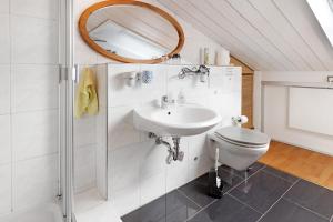 a bathroom with a sink and a toilet at Haus Schwanenweg in Konstanz +13 photos