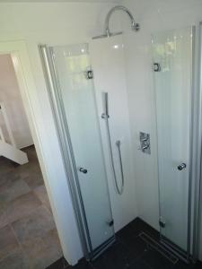 a bathroom with a shower with a glass door at Feriencottage Nordseeluft in Siekbüll +15 photos