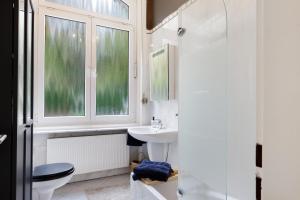 a bathroom with a sink and a toilet and a window at Villa am Weinberg in Wiesbaden +22 photos