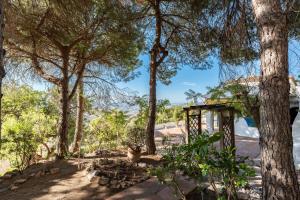 a group of trees with a structure in the shade at Mijas la Nueva in Mijas