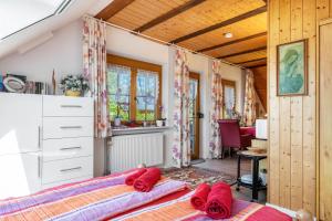 a bedroom with two red pillows on a bed at Haus Leufke in Lenzkirch